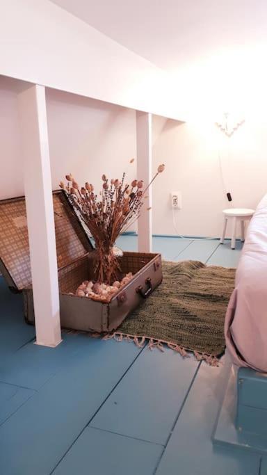 Olga'S Cottage Den Helder Exterior photo